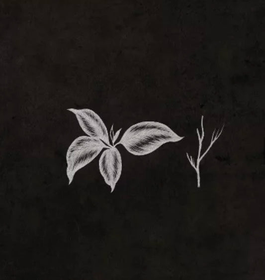 Green!Eyes Dragon EP