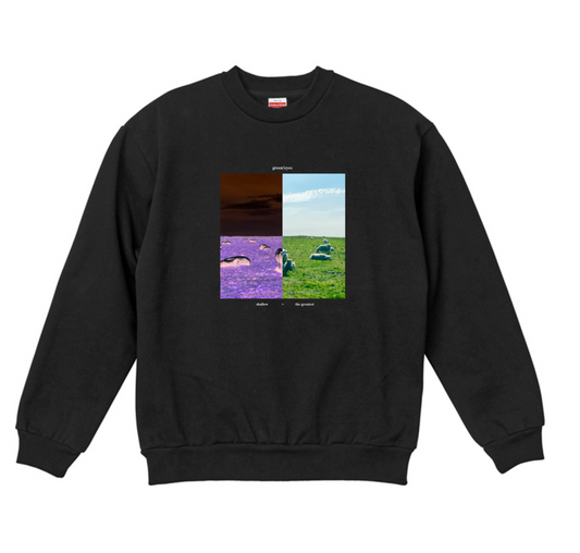 Shallow Extra-warm Sweatshirt 刷毛大學Ｔ